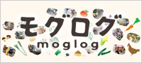 モグログ　moglog　食と農の杜づくり課のブログ