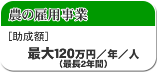 農の雇用事業